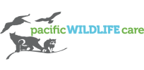 Pacific-Wildlife-Care-Logo